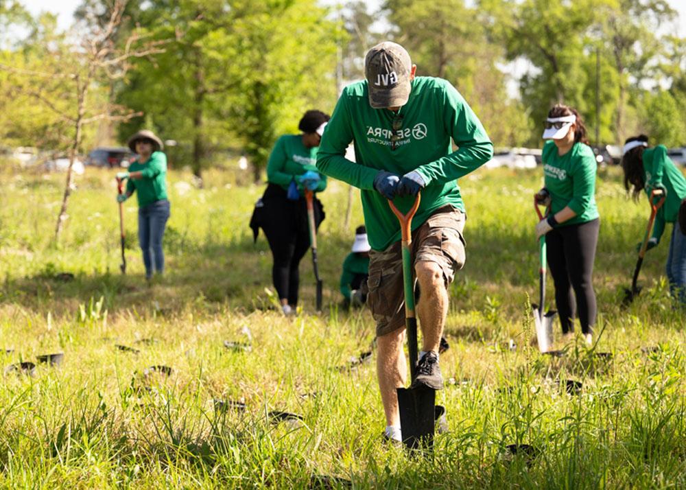 Sempra employees participating in a volunteer tree-planting project in Texas